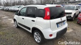  Fiat  Panda 1.0 FireFly 70cv S&S Hybrid #3