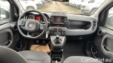  Fiat  Panda 1.0 FireFly 70cv S&S Hybrid #7