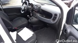  Fiat  Panda 1.0 FireFly 70cv S&S Hybrid #7