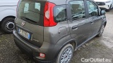  Fiat  Panda 1.0 FireFly 70cv S&S Hybrid #4
