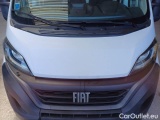  Fiat  Ducato FIAT  / 2014 / 4P / FURGONE 33 LH2 2.2 MJT3 140CV AT9 E6D-FIN #44