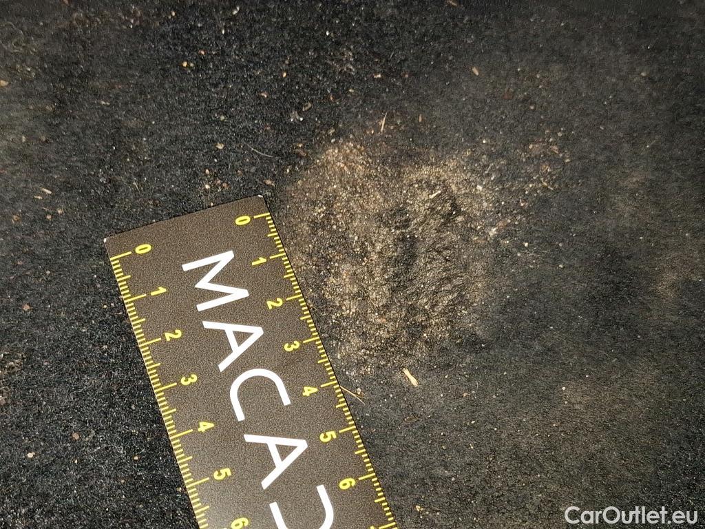  Ford  Focus FORD  SW / 2018 / 5P / Break SW-1.5 EcoBlue 120 auto St-Line Business #12