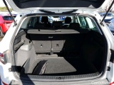  Skoda  Kodiaq  Ambition 2.0 TDI 150CV AT7 E6d #8