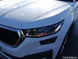  Skoda  Kodiaq  Ambition 2.0 TDI 150CV AT7 E6d #15