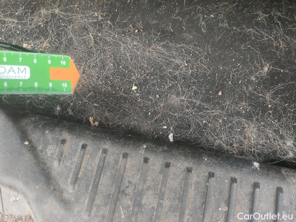  Ford  Fiesta FORD  / 2021 / 5P / berlina con portón 1.1 IT-VCT 55kW (75CV) Trend 5p #6