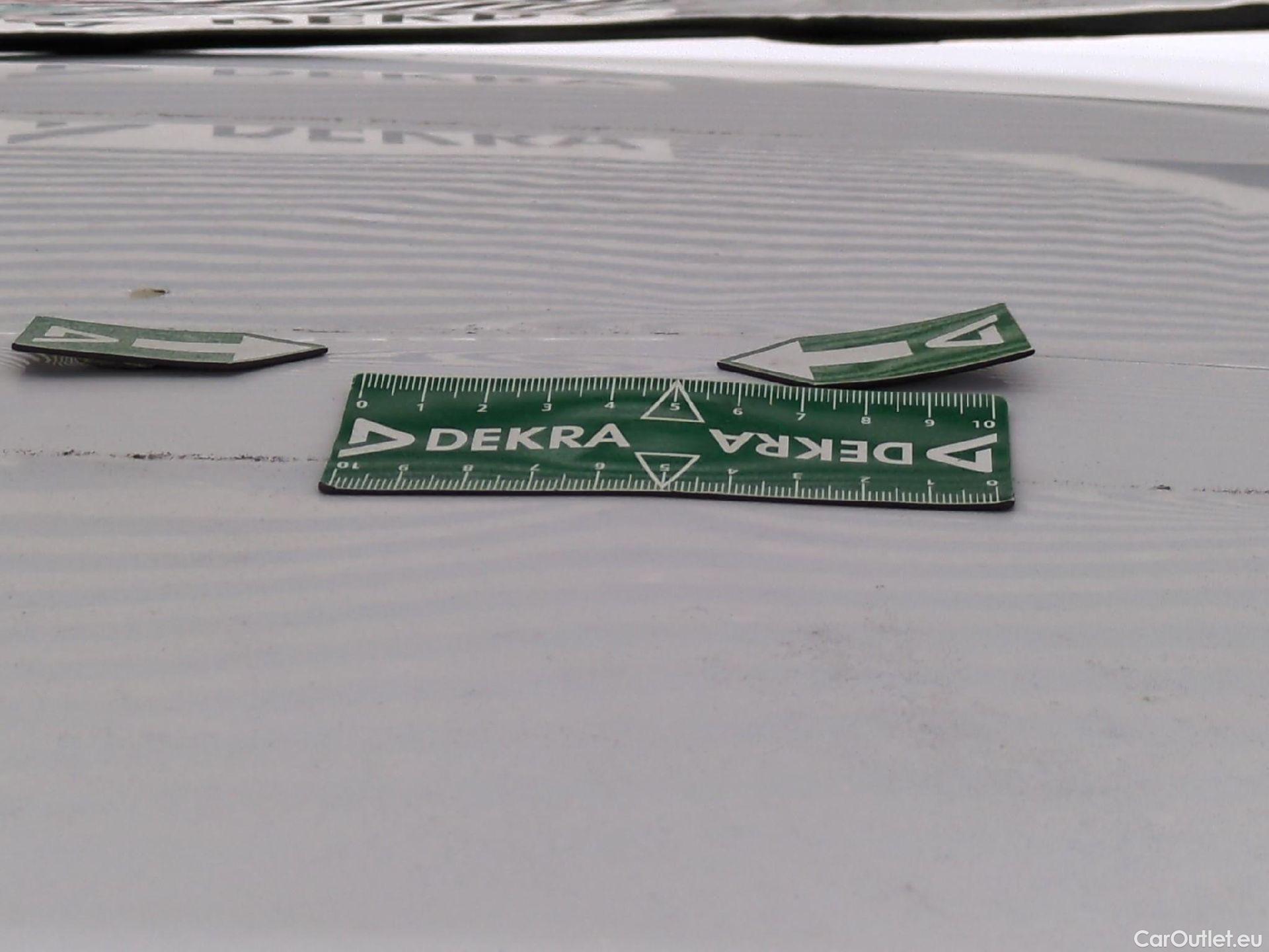  Renault  Kangoo  II Express Maxi Extra (Série Spéciale) 1.5 dCi 95CV BVM6 E6dT #53