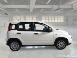  Fiat  Panda FIAT  / 2011 / 5P / BERLINA 1.0 FIREFLY 70CV SeS HYBRID #7