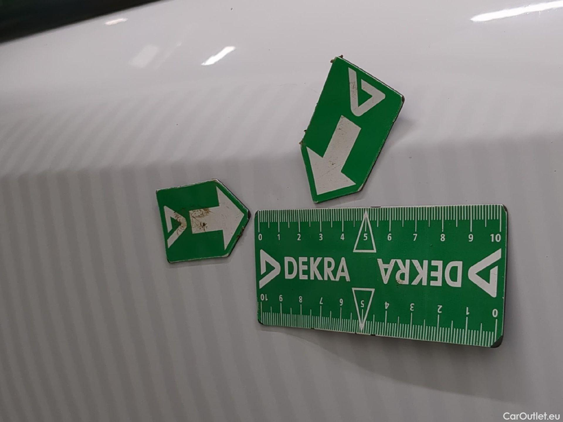  Renault  Kangoo  II Express Maxi Extra (Série Spéciale) 1.5 dCi 95CV BVM6 E6dT #32