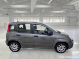  Fiat  Panda FIAT  / 2011 / 5P / BERLINA 1.0 FIREFLY 70CV SeS HYBRID #7