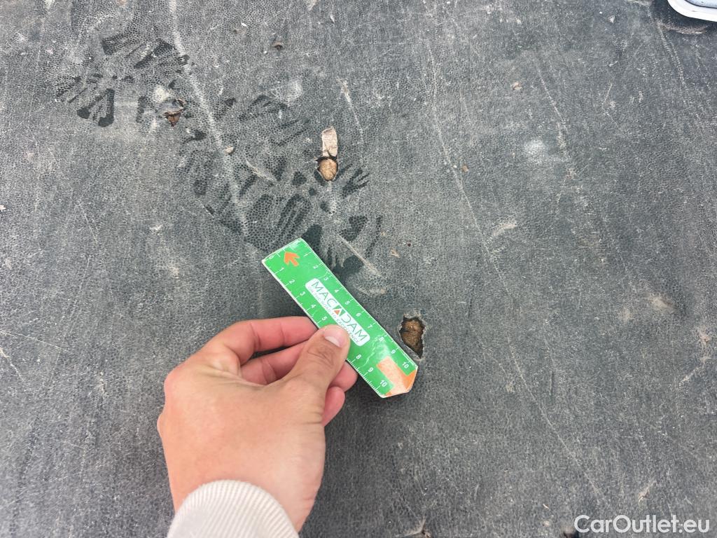  Opel  Vivaro OPEL  / 2019 / 4P / combi 1.5 Diésel 88kW (120CV) L Inc. Express #22