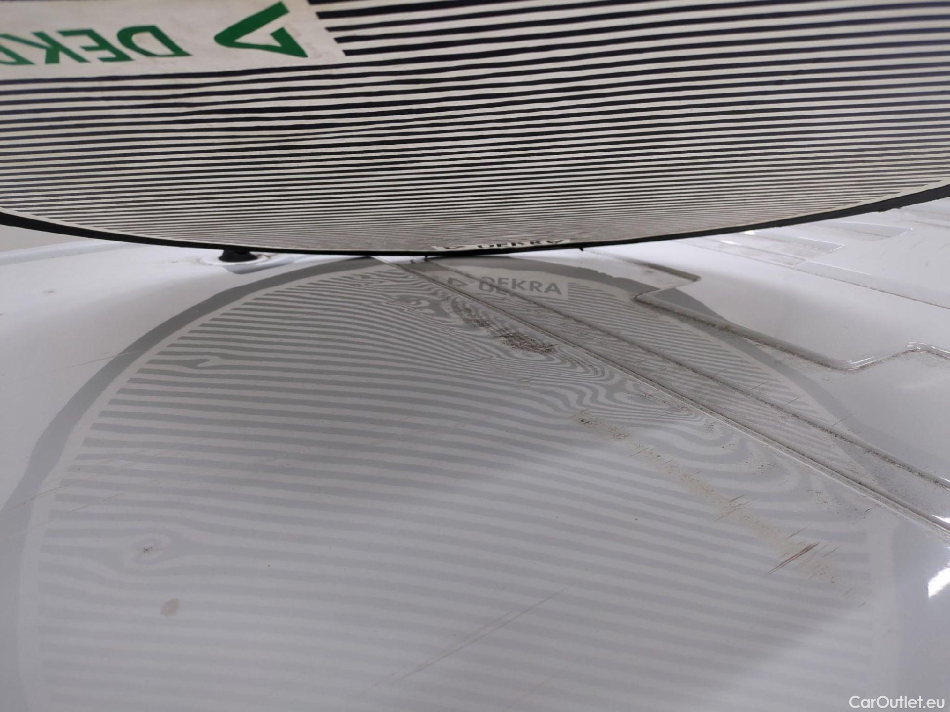  Renault  Trafic  III Fourgon L2H1 1200 Confort 1.6 dCi 120CV BVM6 E6 #51