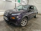 C4 Cactus