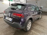 C4 Cactus
