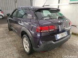 C4 Cactus