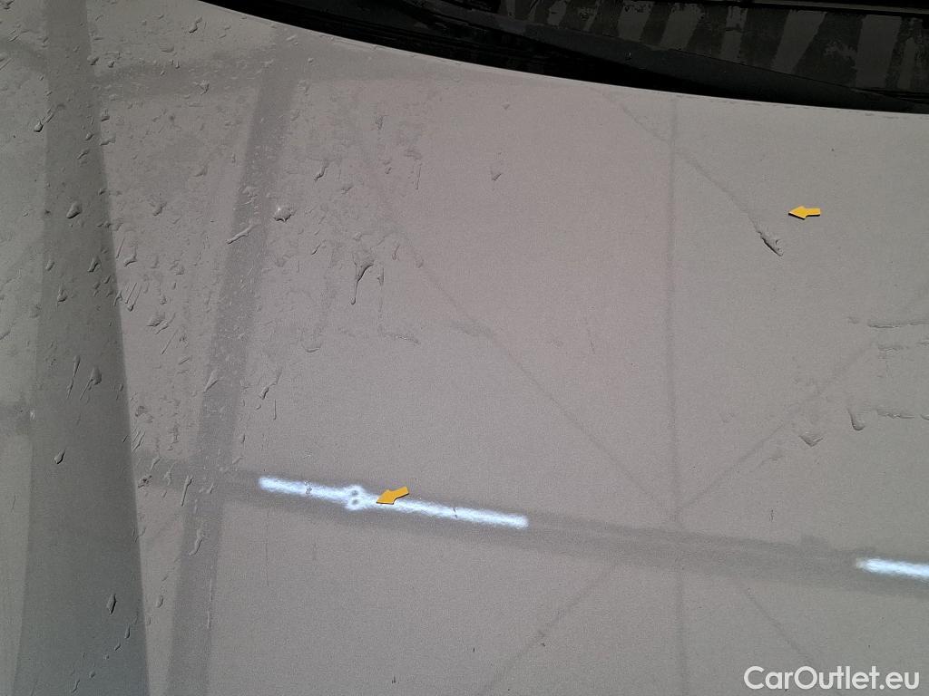  Peugeot  208  Active Business 1.5 HDi 100CV BVM6 E6d #24