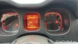  Fiat  Panda 1.0 FireFly 70cv S&S Hybrid #13