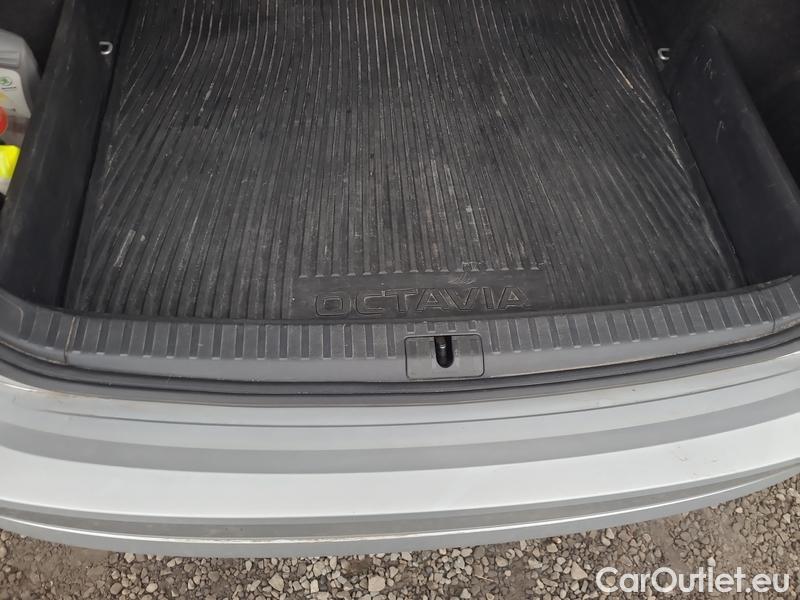  Skoda  Octavia  Combi (NX3)(2020) Oct.Combi 2.0TDI 85 Ambition #12