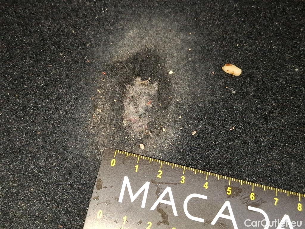  Cupra  Formentor CUPRA  / 2020 / 5P / SUV 2.0 TDI 150ch BVM6 Business Edition #35