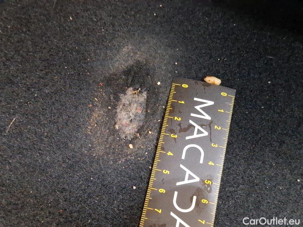  Cupra  Formentor CUPRA  / 2020 / 5P / SUV 2.0 TDI 150ch BVM6 Business Edition #33