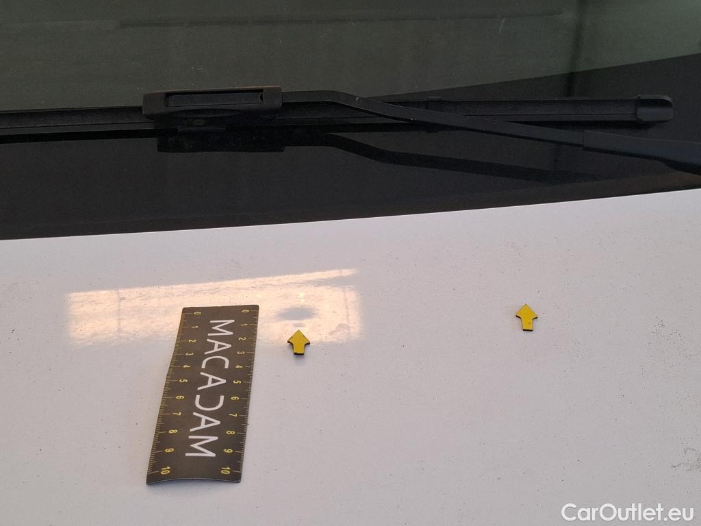  Renault  Kangoo  II Express Maxi Extra (Série Spéciale) 1.5 dCi 95CV BVM6 E6dT #38