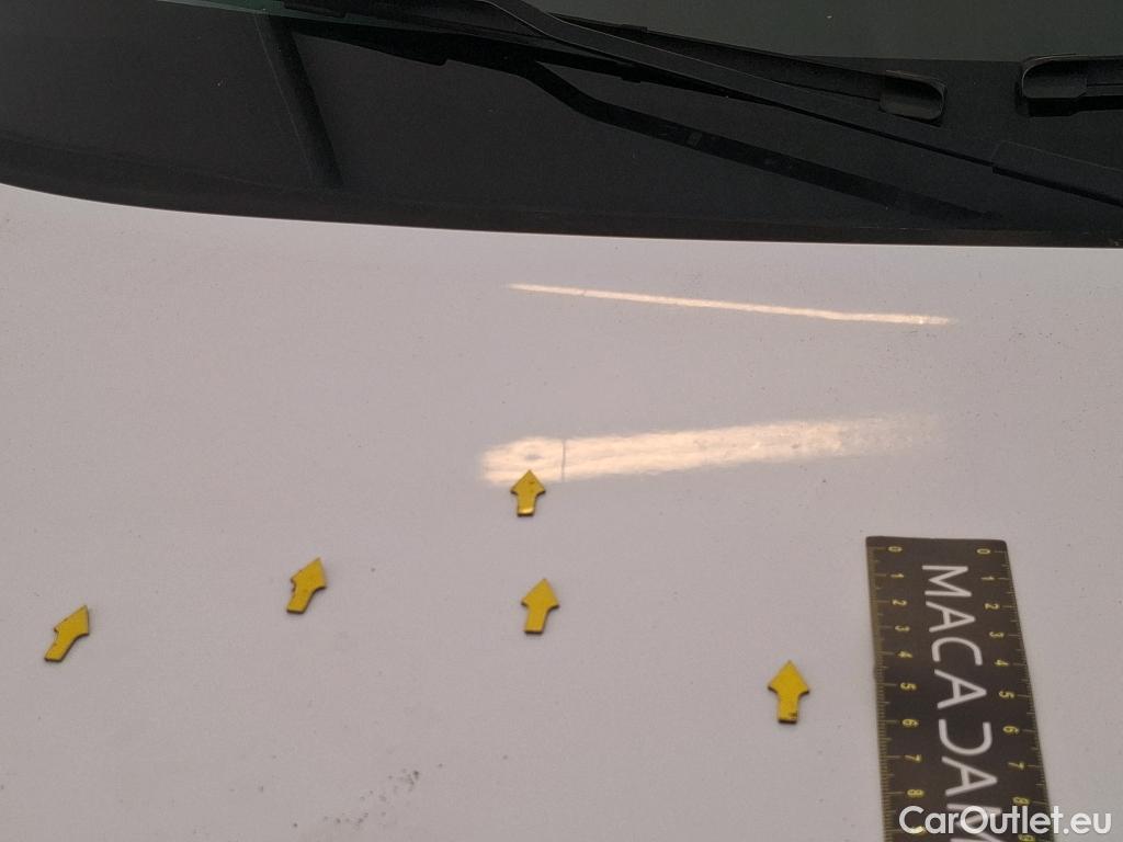  Renault  Kangoo  II Express Maxi Extra (Série Spéciale) 1.5 dCi 95CV BVM6 E6dT #34