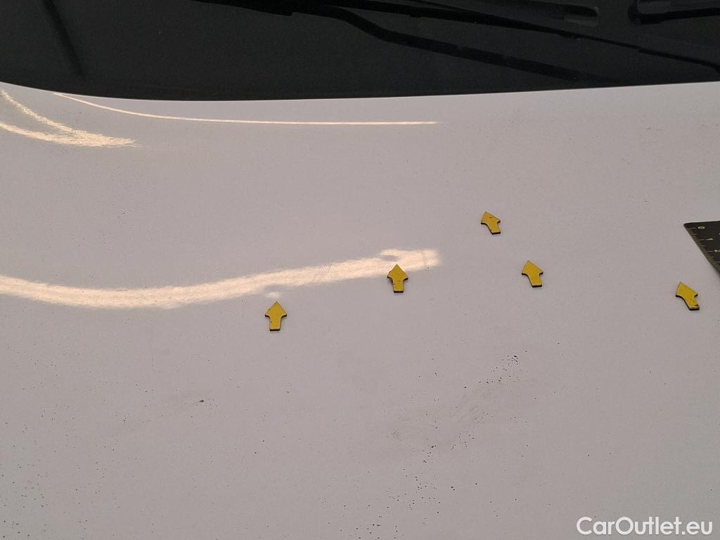  Renault  Kangoo  II Express Maxi Extra (Série Spéciale) 1.5 dCi 95CV BVM6 E6dT #33