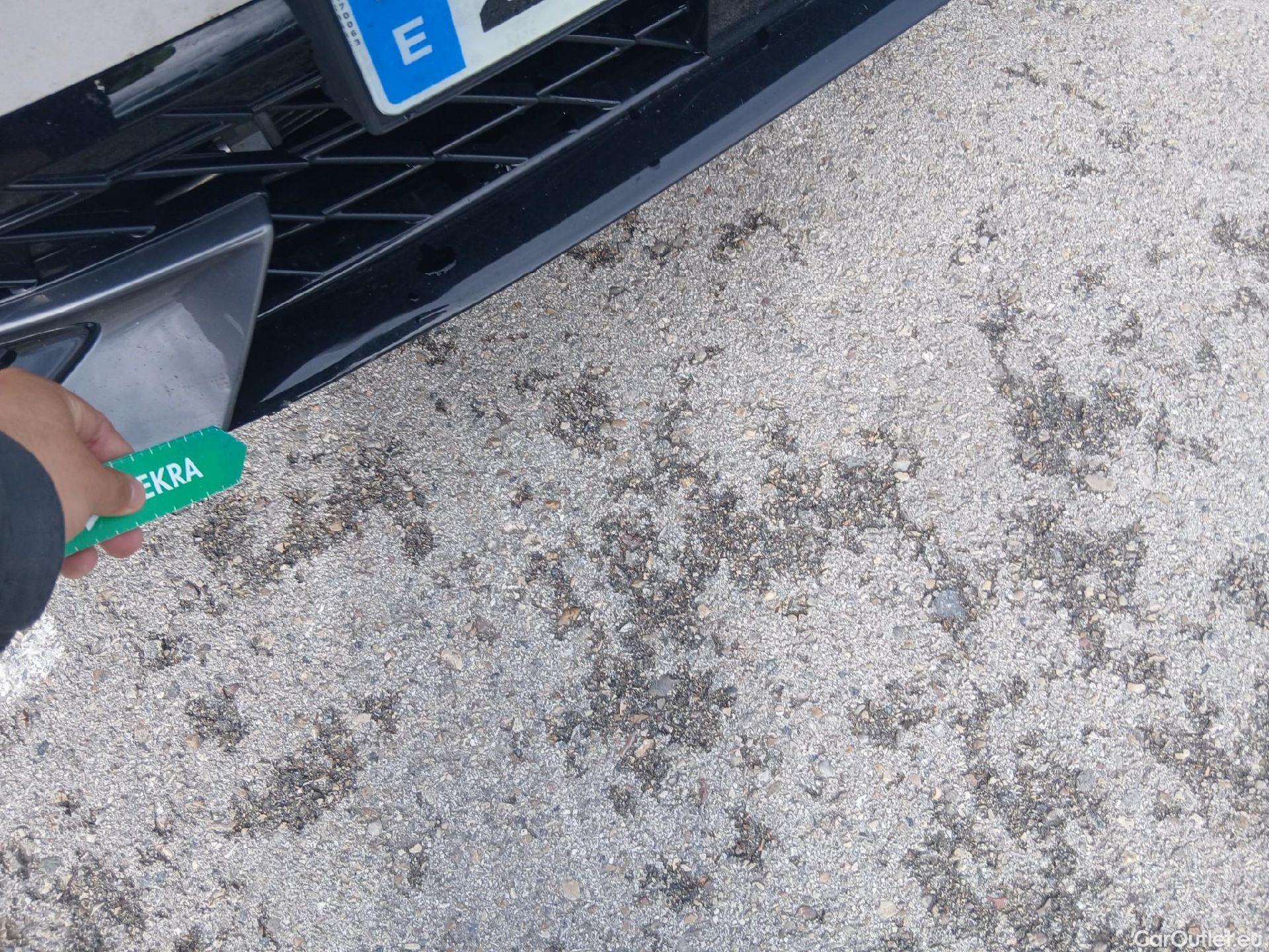  Cupra  Formentor CUPRA  / 2020 / 5P / todoterreno 2.0 TDI 110kW (150 CV) 4Drive DSG #8