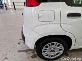  Fiat  Panda FIAT  / 2011 / 5P / BERLINA 1.0 FIREFLY 70CV SeS HYBRID #28