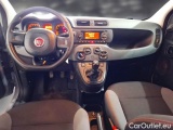  Fiat  Panda FIAT  / 2011 / 5P / BERLINA 1.2 69CV SeS E6D-TEMP EASY #3
