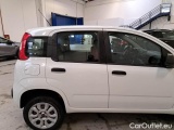  Fiat  Panda FIAT  / 2011 / 5P / BERLINA 0.9 TWINAIR TURBO NATURAL POWER EASY #54