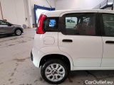  Fiat  Panda FIAT  / 2011 / 5P / BERLINA 0.9 TWINAIR TURBO NATURAL POWER EASY #58