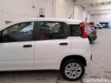  Fiat  Panda FIAT  / 2011 / 5P / BERLINA 0.9 TWINAIR TURBO NATURAL POWER EASY #85
