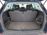  Skoda  Kodiaq  Business 2.0 TDI 150CV BVA7 E6d #10