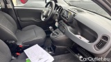  Fiat  Panda 1.0 FireFly 70cv S&S Hybrid #7