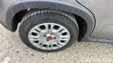  Fiat  Panda 1.0 FireFly 70cv S&S Hybrid #14