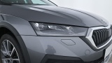  Skoda  Octavia Combi 2,0 TDI 4x4 DSG (NX) Scout Automatic Diesel  44 #33