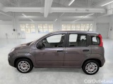  Fiat  Panda FIAT  / 2011 / 5P / BERLINA 1.0 FIREFLY 70CV SeS HYBRID #8
