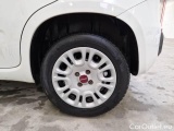  Fiat  Panda FIAT  / 2011 / 5P / BERLINA 1.2 69CV E6 EASY #19