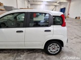  Fiat  Panda FIAT  / 2011 / 5P / BERLINA 1.2 69CV E6 EASY #57