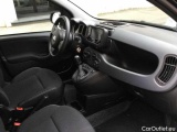  Fiat  Panda 1.0 FireFly 70cv S&S Hybrid Manual Petrol  2 #13
