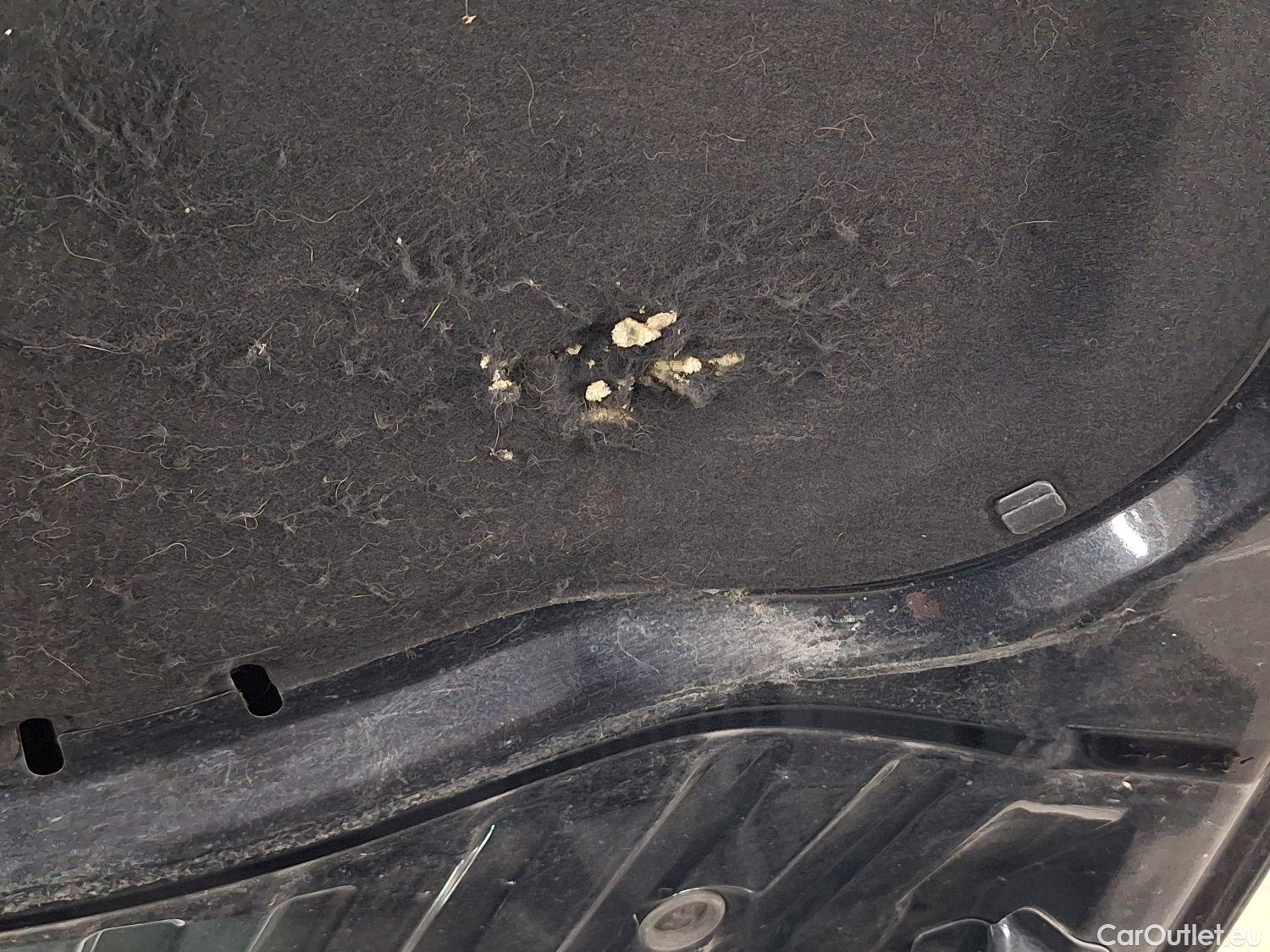  Skoda  Octavia Skoda,  Combi FL'16, Skoda  Combi 1.6 CRTDI 85kW GreenTec Ambiti #17