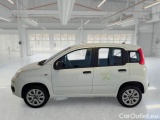  Fiat  Panda FIAT  / 2011 / 5P / BERLINA 0.9 TWINAIR TURBO NATURAL P. E6D-T EASY #8