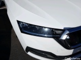  Skoda  Octavia SKODA  / 2020 / 5P / berlina con portón 2.0 TDI 110kW (150CV) Manual Ambition #17