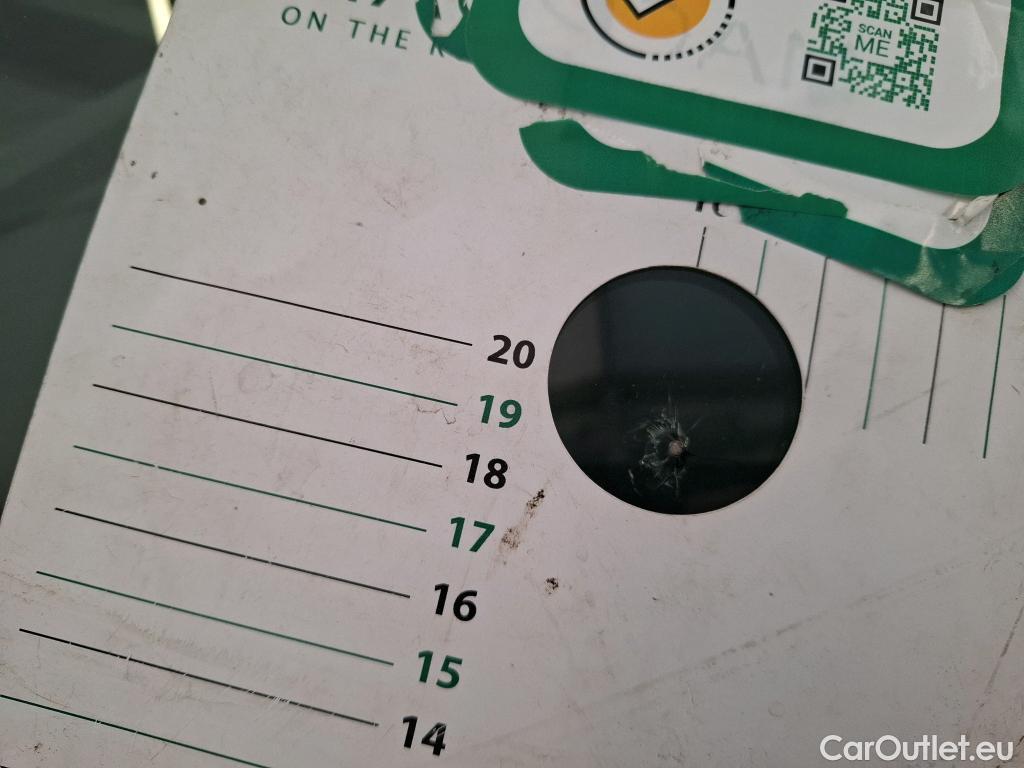  Skoda  Octavia  Combi Business 2.0 TDI 115CV BVM6 E6d #2