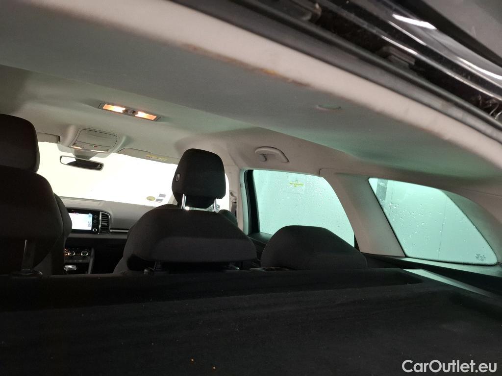  Skoda  Karoq  Business 1.6 TDI 115CV BVA7 E6dT #12