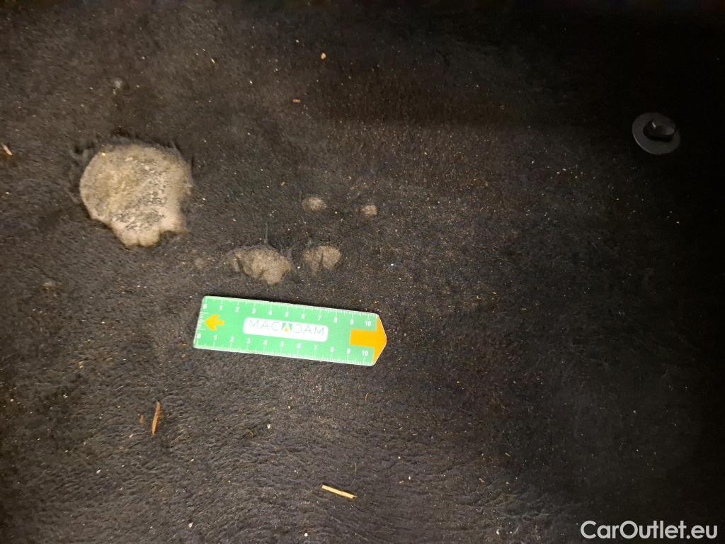  MG  ZS EV MG ZS / 2020 / 5P / SUV Luxury 143ch #8