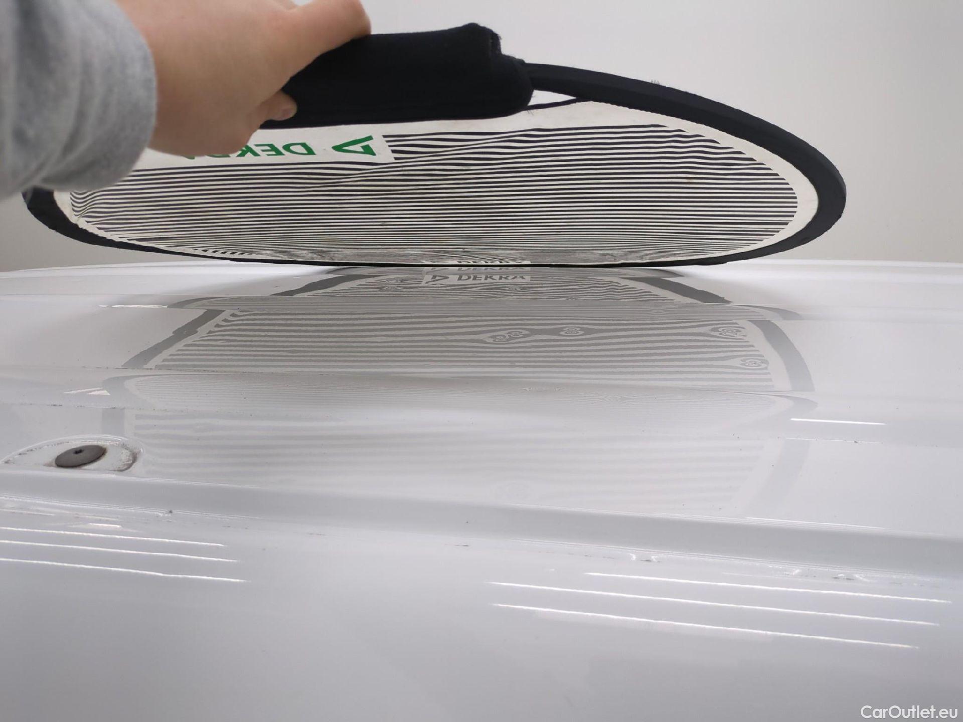  Renault  Kangoo  II Express Maxi Extra (Série Spéciale) 1.5 dCi 95CV BVM6 E6dT #29