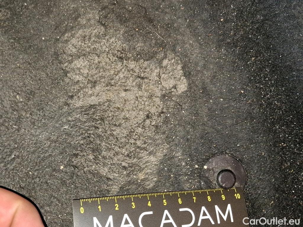  Renault  Clio  V Société Air Nav 1.5 dCi 85CV BVM6 E6dT #10