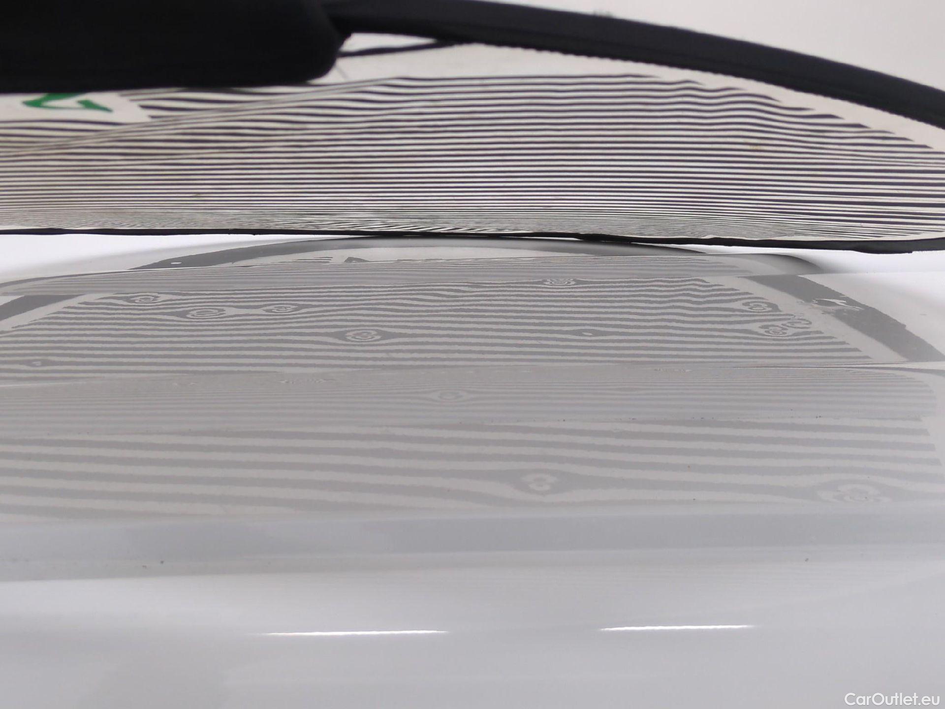  Renault  Kangoo  II Express Maxi Extra (Série Spéciale) 1.5 dCi 95CV BVM6 E6dT #24