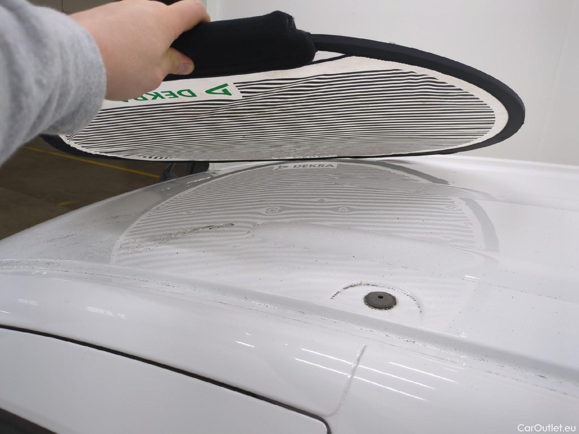  Renault  Kangoo  II Express Maxi Extra (Série Spéciale) 1.5 dCi 95CV BVM6 E6dT #31